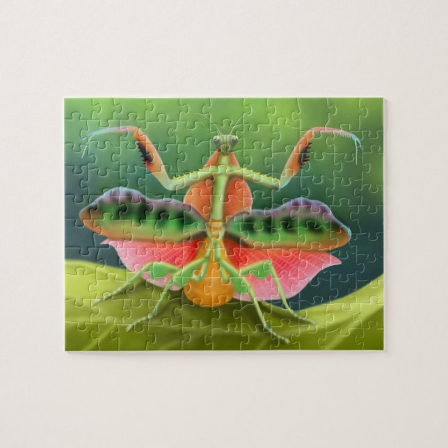 Bunter afrikanischer betender Mantis auf Puzzle (Horizontal)