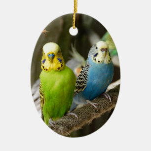 Bunter Budgie Vogel Keramikornament