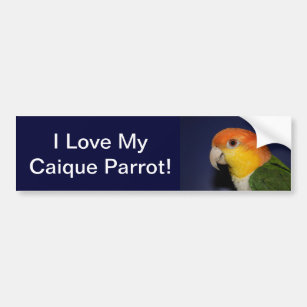 Bunter Caique-Papagei Autoaufkleber