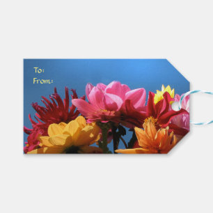 Bunter Dahlie-Blumen-Satz Geschenk-Umbauten Geschenkanhänger