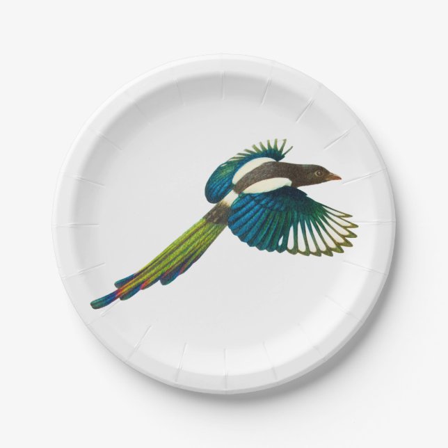 Bunter Elster-Vogel, Vintage Illustration Pappteller (Vorderseite)