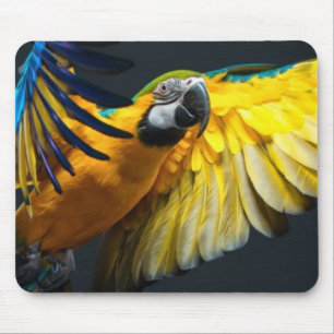 Bunter Fliegen Ara auf einem dunklen Hintergrund Mousepad