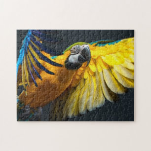 Bunter Fliegen Ara auf einem dunklen Hintergrund Puzzle