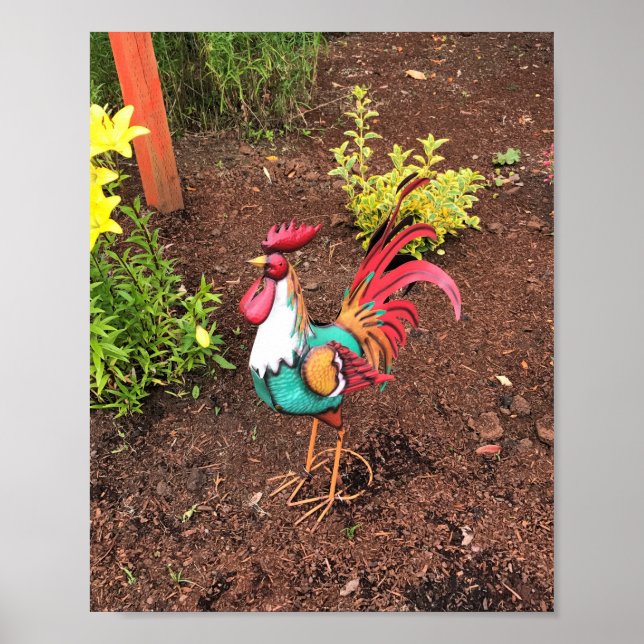 Bunter Hahn im Garten Poster (Vorne)