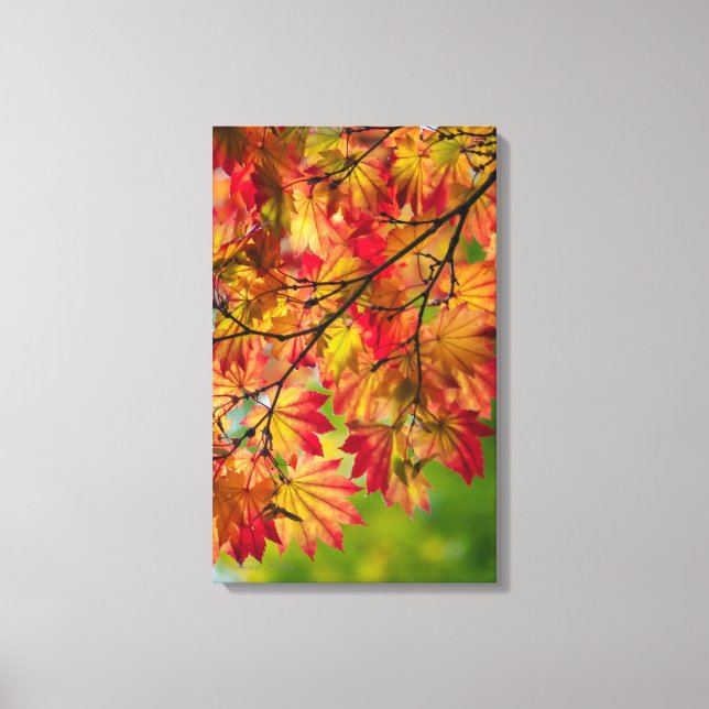 Bunter Herbstlaub wickelte Leinwand ein (Vorderseite)