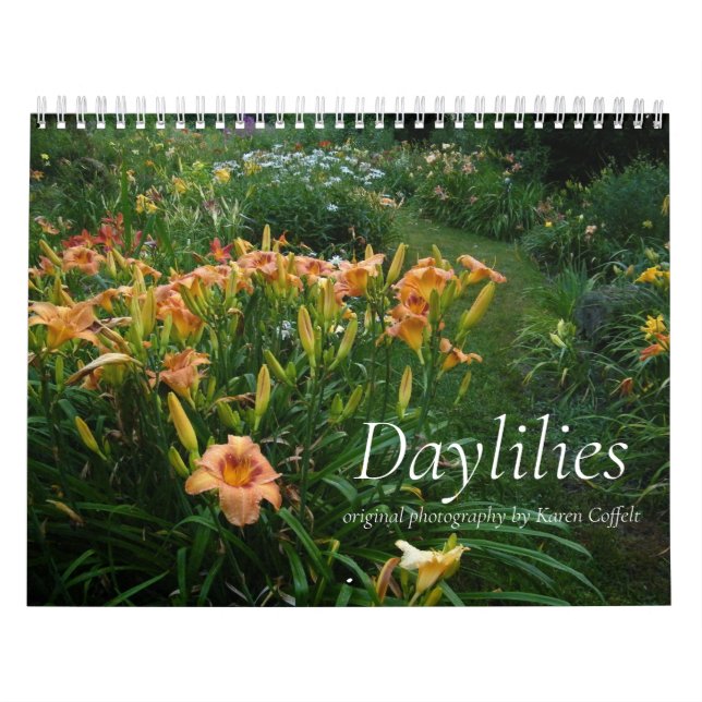 Bunter hybrider Dayliles Hemerocallis Kalender (Titelbild)
