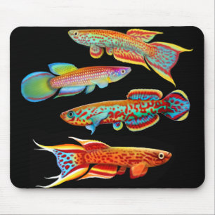 Bunter Killifish Mousepad