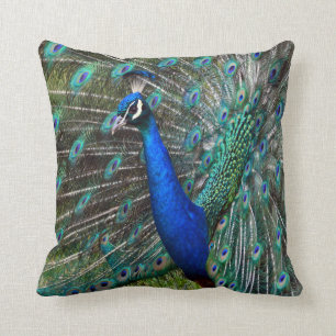 Bunter männlicher Pfau Kissen