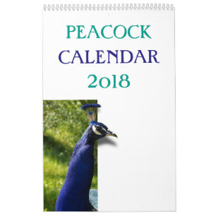 Bunter Pfau 2017 Kalender