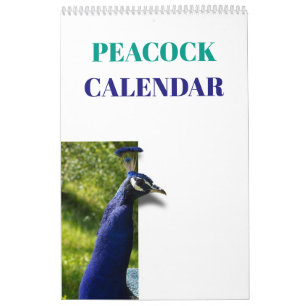 Bunter Pfau 2019 Kalender