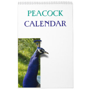 Bunter Pfau 2025 Kalender