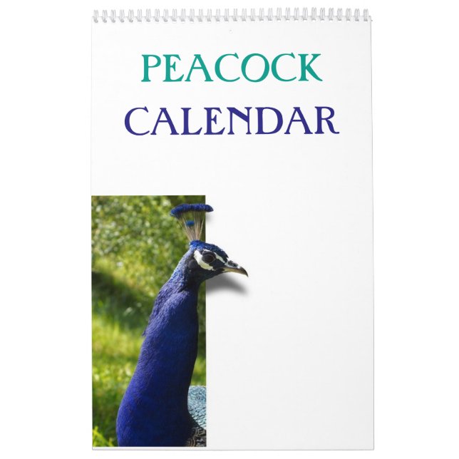 Bunter Pfau 2025 Kalender (Titelbild)