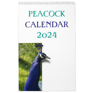 Bunter Pfau 2025 Kalender