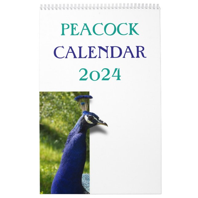 Bunter Pfau 2025 Kalender (Titelbild)