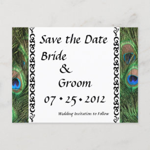Bunter Pfau mustert Wedding Save the Date Ankündigungspostkarte