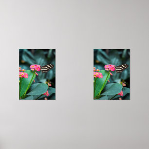 bunter Schmetterling im Garten Bilderwand Sets