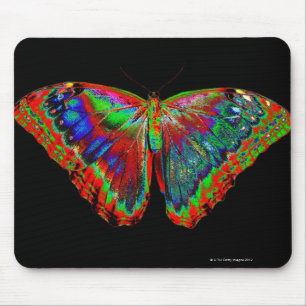 Bunter Schmetterlingsentwurf gegen schwarzen Mousepad