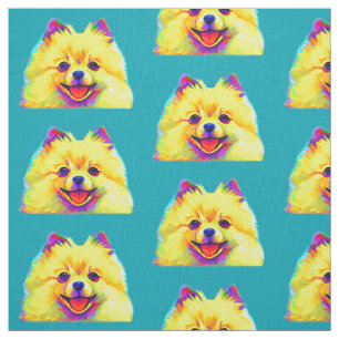 Bunter Spitz Stoff