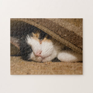 Bunter Teppichläufer Puzzle