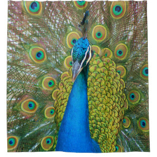Bunter und stolzer Pfau Duschvorhang