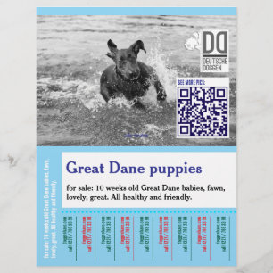 Buntes Abreiß-Hunde-Flugblatt Flyer