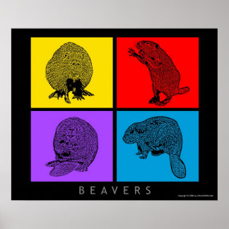 Buntes Biber Poster