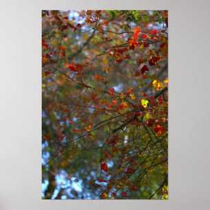 Buntes Blätter Poster