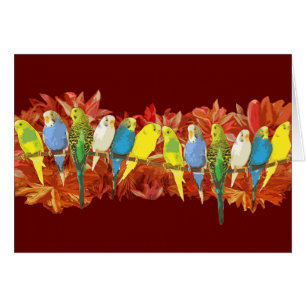 Buntes budgies Muster