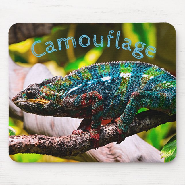 Buntes Chamäleon Mousepad (Vorne)