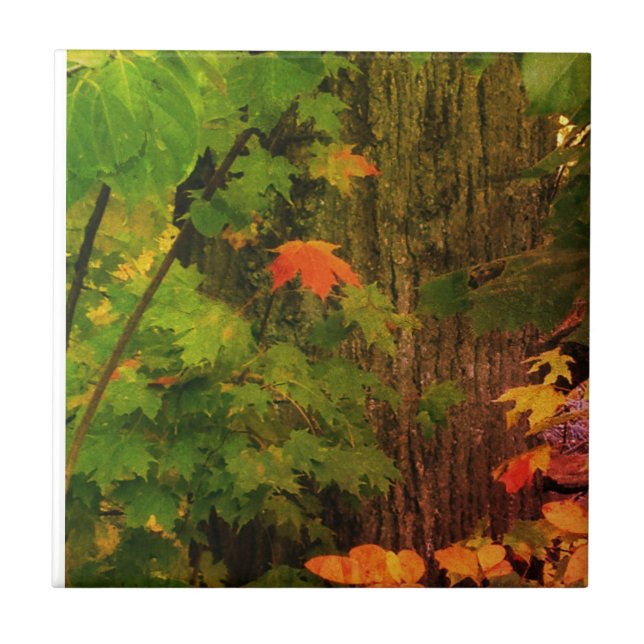 Buntes Fallblatt Fliese (Vorderseite)