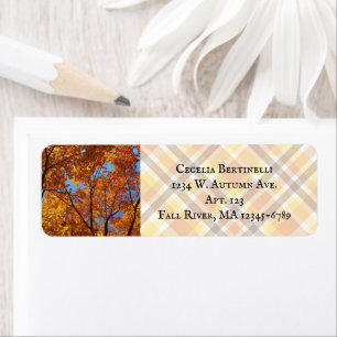 Buntes gelb-orangefarbenes Zucker-Ahorn-Laub / Her