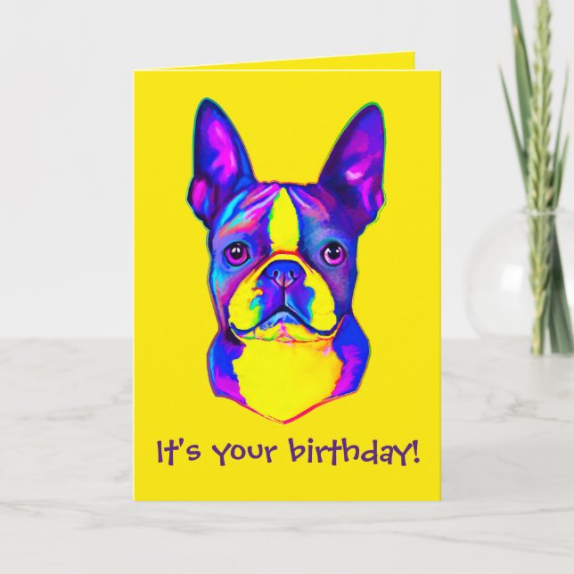 Buntes Glück zum Geburtstag Boston Terrier Karte (Vorderseite)