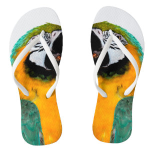 buntes Goldaquamarines Macawpapageien-Vogelporträ Flip Flops