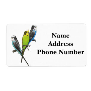 Buntes Parakeets-Bild