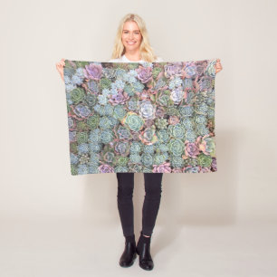 Buntes PastellEcheveria saftiges KLEINES Fleecedecke