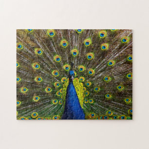 Buntes Pfau Puzzle