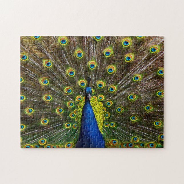Buntes Pfau Puzzle (Horizontal)