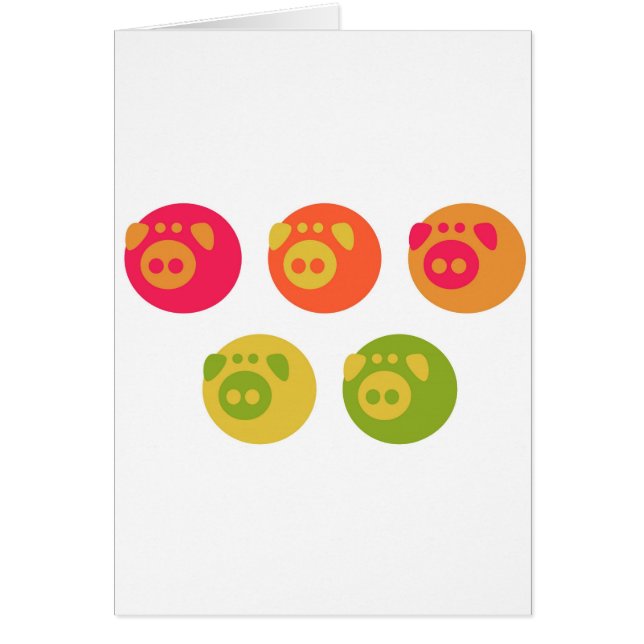 Buntes Piggies (Vorne)