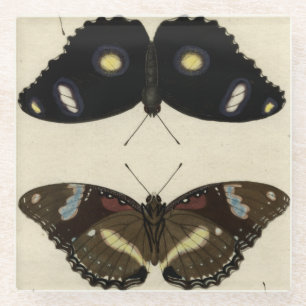 Buntes Schmetterlings-Gemisch auf Sahnehintergrund Glasuntersetzer