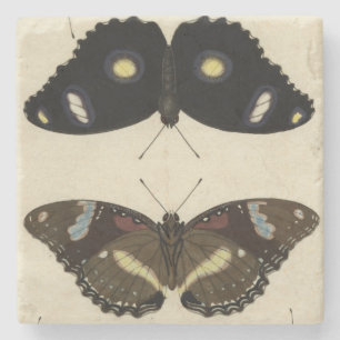 Buntes Schmetterlings-Gemisch auf Sahnehintergrund Steinuntersetzer