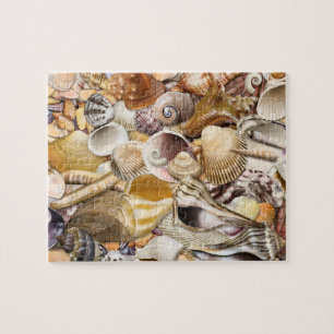 Buntes Seashells-Puzzlespiel Puzzle