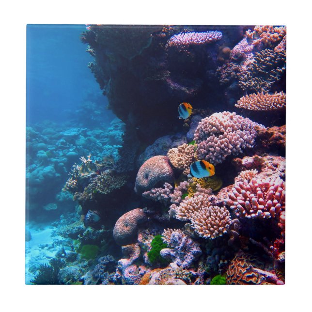 Buntes tropisches Korallenriff Fliese (Vorderseite)