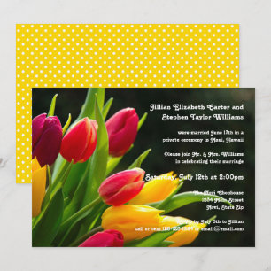Buntes Tulpe-Foto - Hochzeits-Mitteilung Einladung