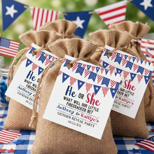 Bunting-Flaggen 4. Juli Geschlecht Enthüllungsfeie Geschenkanhänger