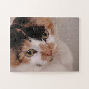 Buntkatze Calico Beauty Puzzle