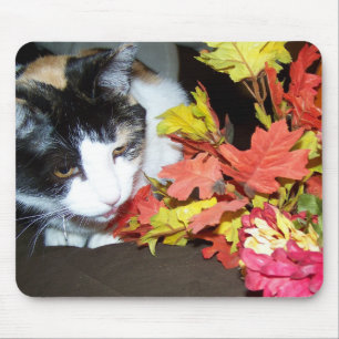 Buntkatze Herbst Blätter Mauspad