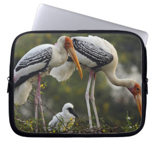 Buntstörche & Jungtier im Nest,Keoladeo Laptopschutzhülle