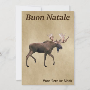 Buon Natale - Bull Moose auf altem Papier