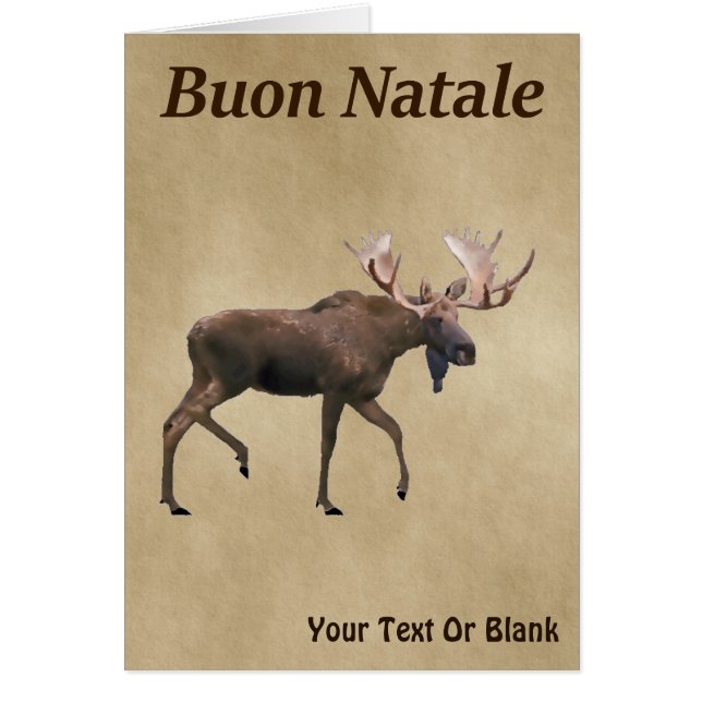 Buon Natale - Bull Moose auf altem Papier (Vorne)