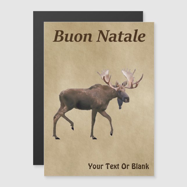 Buon Natale - Bull Moose auf altem Papier Magnetkarte (Vorne/Hinten)